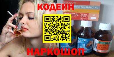 индика Пенза