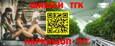 индика Пенза