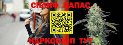 прущие грибы Партизанск