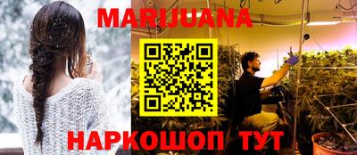 индика Пенза
