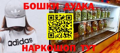 индика Пенза