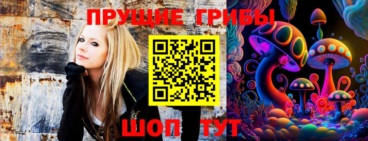 Реж  Псилоцибиновые грибы мицелий  что такое   Вход с VPN  Псилоцибиновые грибы Psilocybine cubensis 