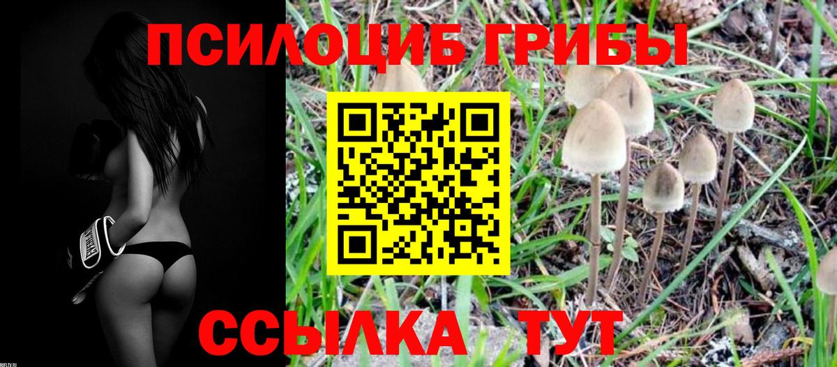 Галлюциногенные грибы мухоморы Реж